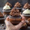 Chocolate Cupcakes